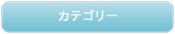 カテゴリー