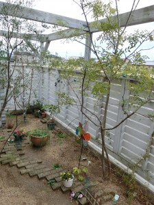 CIMG0903