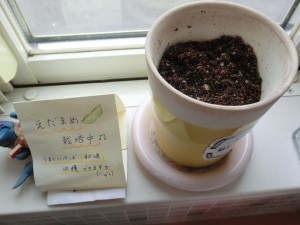 CIMG0996