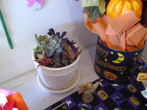 IMG_20151008_124226