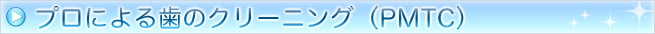 プロによる歯のクリーニング（PMTC）